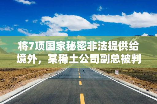 将7项国家秘密非法提供给境外，某稀土公司副总被判11年半