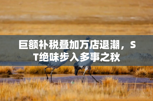 巨额补税叠加万店退潮，ST绝味步入多事之秋