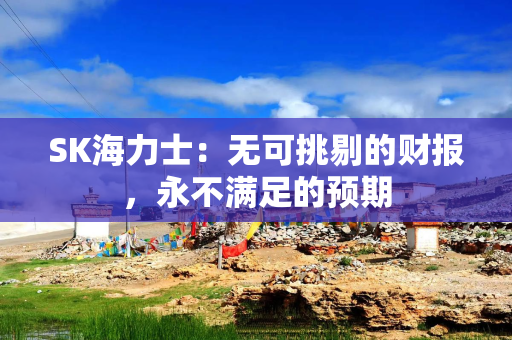 SK海力士：无可挑剔的财报，永不满足的预期