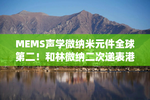 MEMS声学微纳米元件全球第二！和林微纳二次递表港股，净利扭亏为盈|港E声