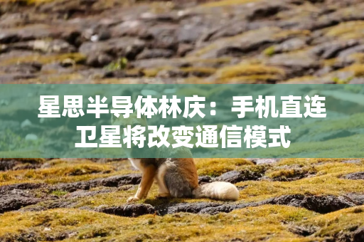 星思半导体林庆：手机直连卫星将改变通信模式