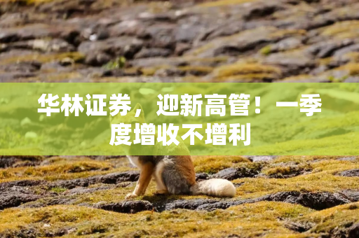 华林证券，迎新高管！一季度增收不增利