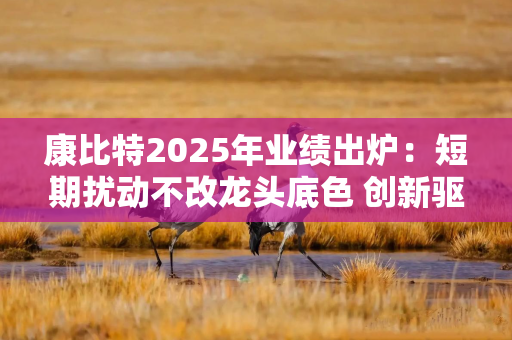 康比特2025年业绩出炉：短期扰动不改龙头底色 创新驱动长期成长