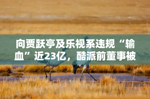 向贾跃亭及乐视系违规“输血”近23亿，酷派前董事被重罚
