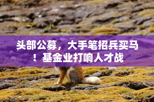 头部公募，大手笔招兵买马！基金业打响人才战