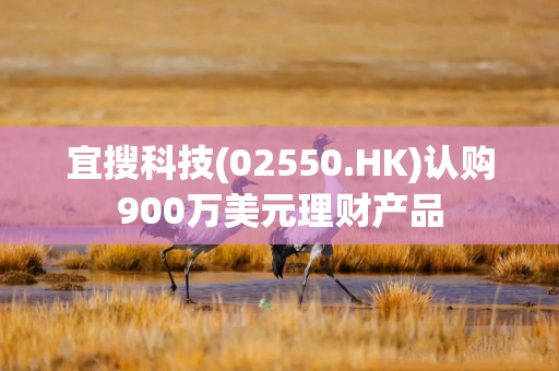 宜搜科技(02550.HK)认购900万美元理财产品 宜搜科技(02550.HK)认购900万美元理财产品