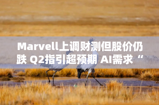 Marvell上调财测但股价仍跌 Q2指引超预期 AI需求“异常强劲”