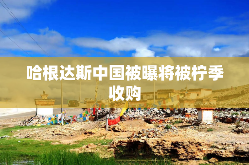 哈根达斯中国被曝将被柠季收购