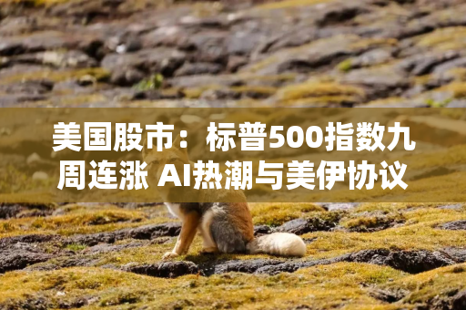 美国股市：标普500指数九周连涨 AI热潮与美伊协议希望提振市场