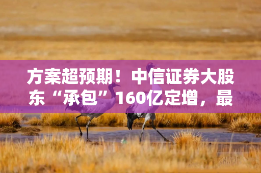 方案超预期！中信证券大股东“承包”160亿定增，最新解读来了