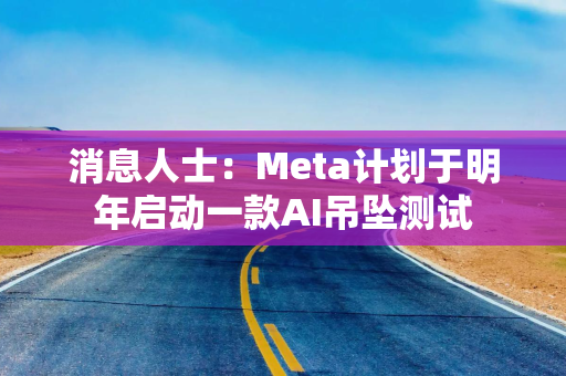 消息人士：Meta计划于明年启动一款AI吊坠测试