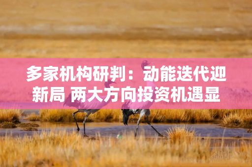 多家机构研判：动能迭代迎新局 两大方向投资机遇显现