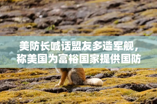 美防长喊话盟友多造军舰,称美国为富裕国家提供国防补贴的日子已经结束了 美防长喊话盟友多造军舰,称美国为富裕国家提供国防补贴的日子已经结束了