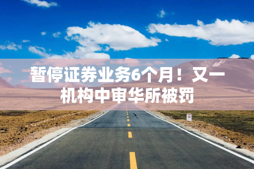 暂停证券业务6个月！又一机构中审华所被罚