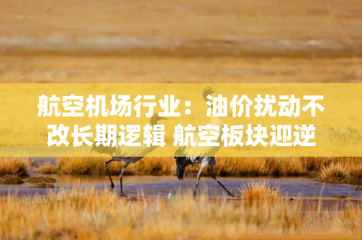 航空机场行业：油价扰动不改长期逻辑 航空板块迎逆向布局窗口