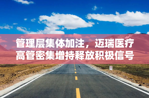 管理层集体加注，迈瑞医疗高管密集增持释放积极信号