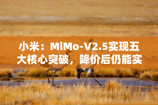 小米：MiMo-V2.5实现五大核心突破，降价后仍能实现收支平衡