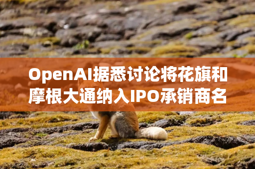 OpenAI据悉讨论将花旗和摩根大通纳入IPO承销商名单