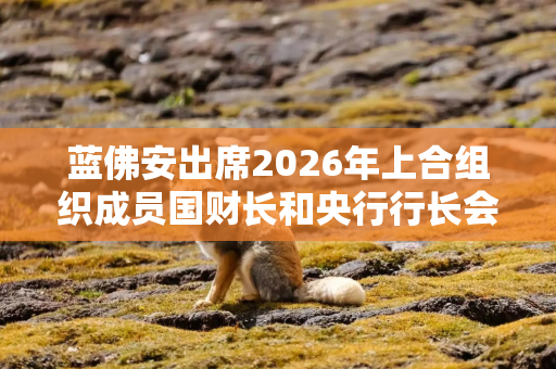 蓝佛安出席2026年上合组织成员国财长和央行行长会议 并举行多场双边会谈