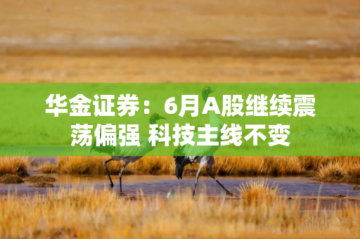 华金证券：6月A股继续震荡偏强 科技主线不变