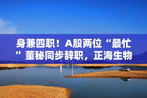 身兼四职！A股两位“最忙”董秘同步辞职，正海生物、正海磁材董秘曾身兼四职