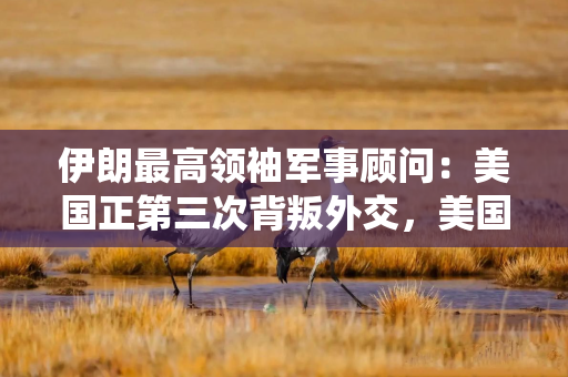 伊朗最高领袖军事顾问：美国正第三次背叛外交，美国总统特朗普并非想要与伊朗谈判，而在追求其他目标