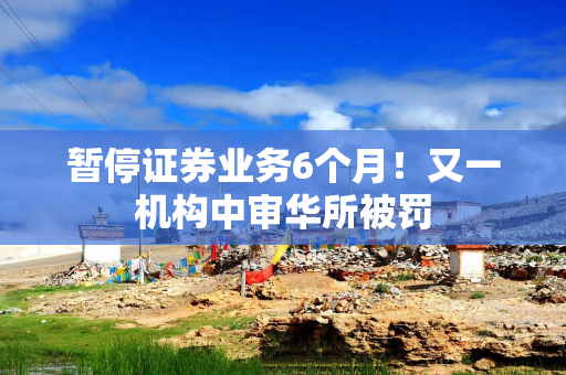 暂停证券业务6个月！又一机构中审华所被罚