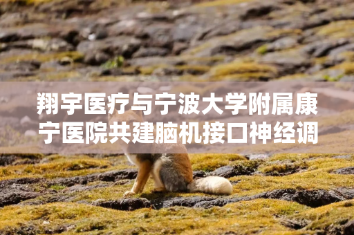 翔宇医疗与宁波大学附属康宁医院共建脑机接口神经调控精神心理疾病临床转化中心