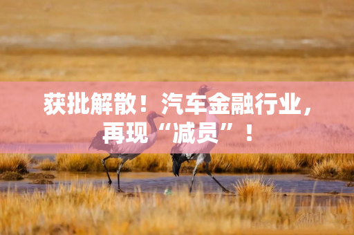 获批解散！汽车金融行业，再现“减员”！