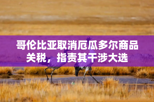 哥伦比亚取消厄瓜多尔商品关税，指责其干涉大选