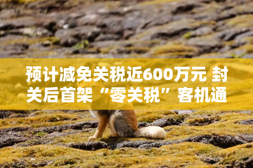 预计减免关税近600万元 封关后首架“零关税”客机通关