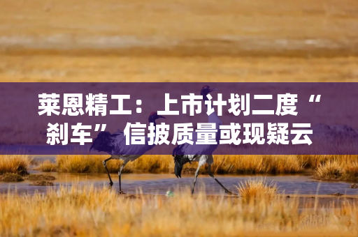 莱恩精工：上市计划二度“刹车” 信披质量或现疑云