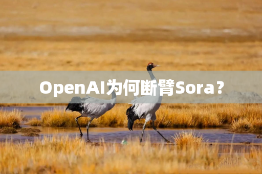 OpenAI为何断臂Sora？