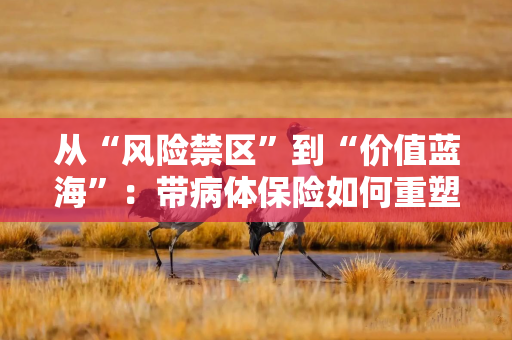 从“风险禁区”到“价值蓝海”：带病体保险如何重塑健康险市场