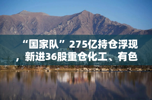 “国家队”275亿持仓浮现，新进36股重仓化工、有色！险资继续加仓红利股