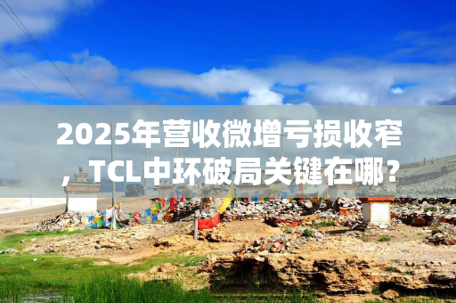 2025年营收微增亏损收窄，TCL中环破局关键在哪？