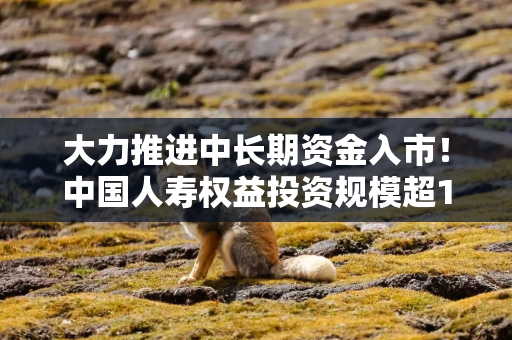 大力推进中长期资金入市！中国人寿权益投资规模超1.2万亿