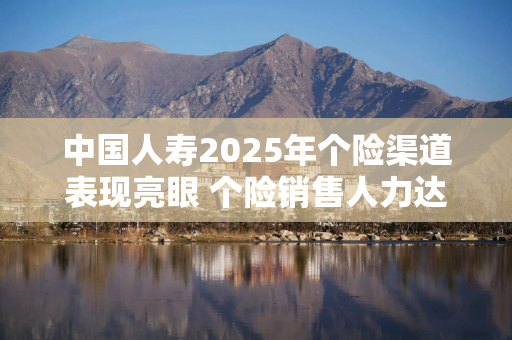 中国人寿2025年个险渠道表现亮眼 个险销售人力达58.7万人