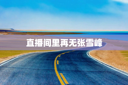 直播间里再无张雪峰
