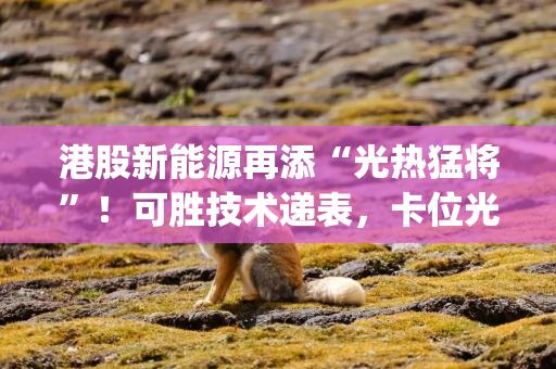 港股新能源再添“光热猛将”！可胜技术递表，卡位光热发电政策红利|港E声