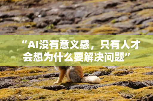 “AI没有意义感，只有人才会想为什么要解决问题”