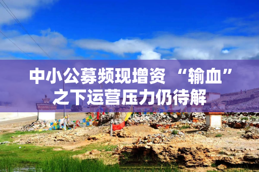 中小公募频现增资 “输血”之下运营压力仍待解