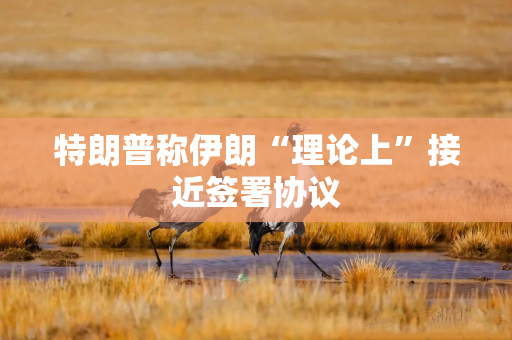 特朗普称伊朗“理论上”接近签署协议