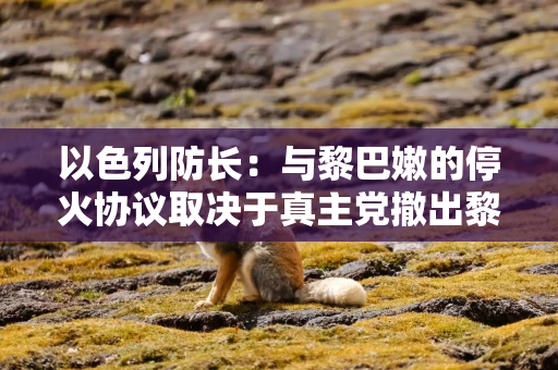 以色列防长：与黎巴嫩的停火协议取决于真主党撤出黎南部