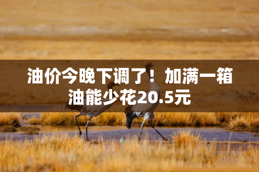 油价今晚下调了！加满一箱油能少花20.5元