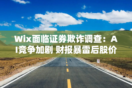 Wix面临证券欺诈调查：AI竞争加剧 财报暴雷后股价暴跌27%