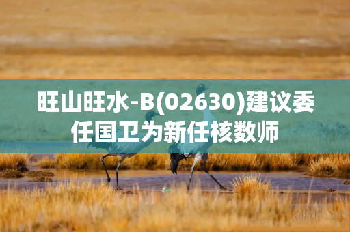 旺山旺水-B(02630)建议委任国卫为新任核数师