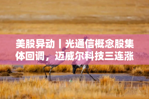美股异动丨光通信概念股集体回调，迈威尔科技三连涨后跌超7%