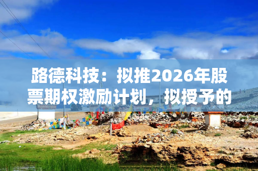 路德科技：拟推2026年股票期权激励计划，拟授予的股票期权数量400万份