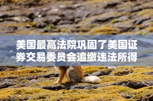 美国最高法院巩固了美国证券交易委员会追缴违法所得的权力